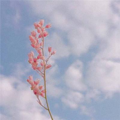 极速赛车8码预测网页下载