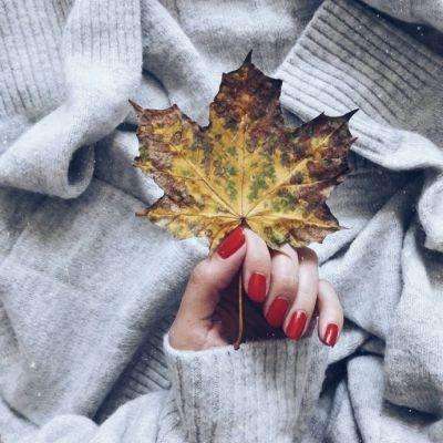 kok全站app官网登录入口