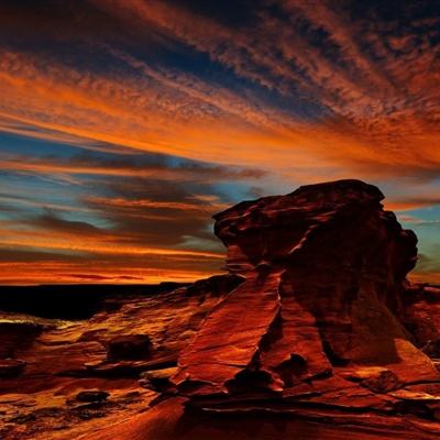 香港2023正版免费资料app下载