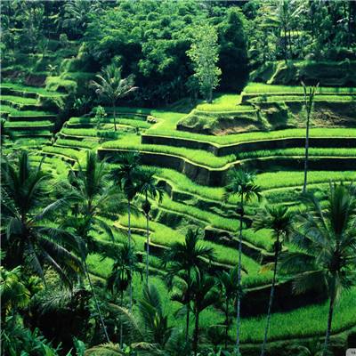 IM电竞平台下载