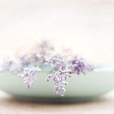 bob官方体育综合下载