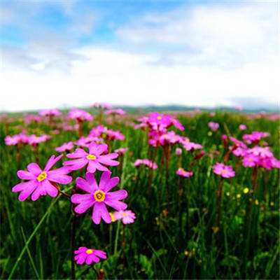 8188www威尼斯app下载