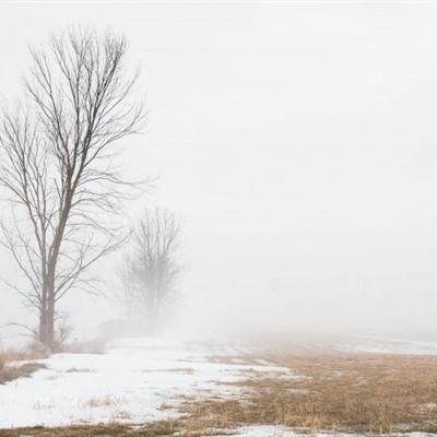 火狐电竞下载手机版